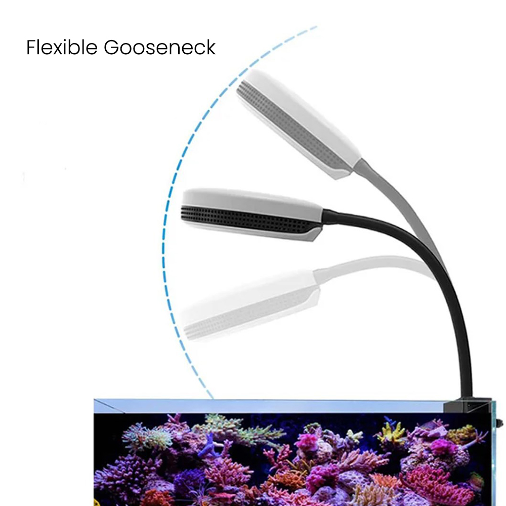 스펙트라 SP20 20W 수족관 LED 조명 풀 스펙트 - Aquarium Marine Light 리뷰 및 가격