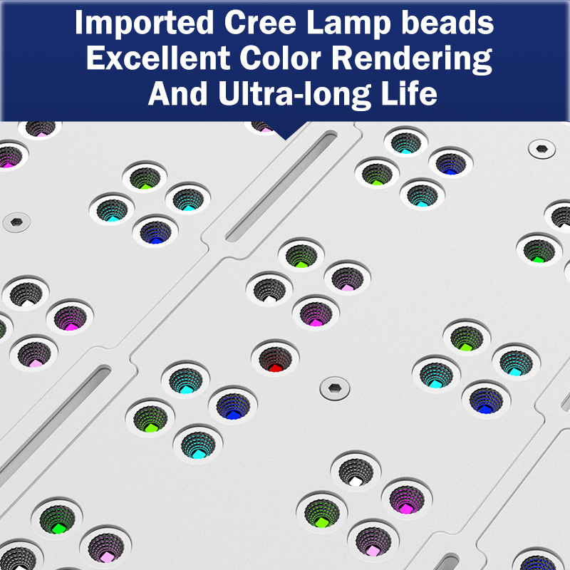 핫 KASSRAY T169/T215 CREE LED 풀 - Aquarium Marine Light 리뷰 및 가격
