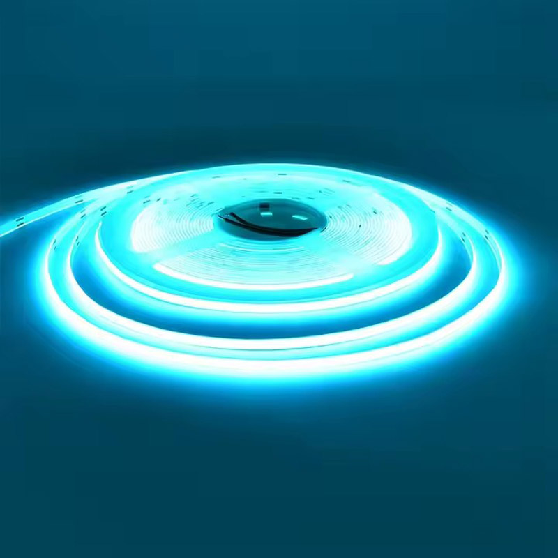 5m12V 24V 3mm 5mm 8mm COB 플렉시블 - Marine Aquarium Game 리뷰 및 가격